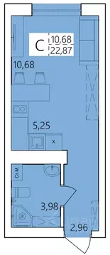 Студия Башкортостан, Уфа ул. Пожарского, 237 (22.87 м)