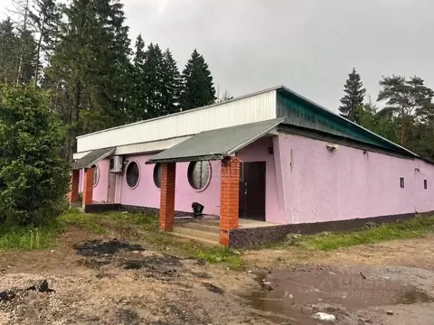 Помещение свободного назначения в Московская область, Наро-Фоминский ...