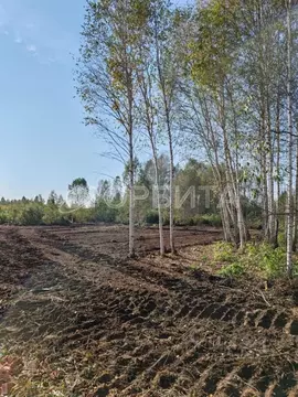 Участок в Тюменская область, Тюмень Центральная пл. (14.0 сот.)