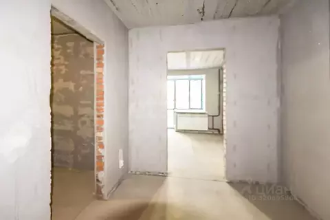 Студия Амурская область, Благовещенский район, с. Чигири ул. ...