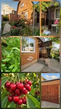 Дом в Ростовская область, Таганрог Звездочка садовое товарищество, 50 ...