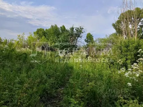 Участок в Кемеровская область, Кемерово Сухой Искитим СНТ,  (12.0 ...