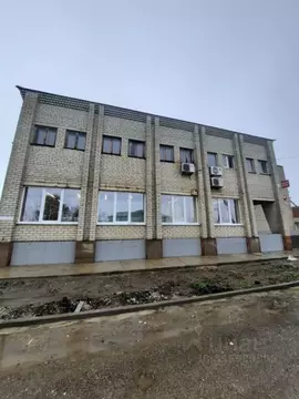 Помещение свободного назначения в Краснодарский край, Красноармейский ...