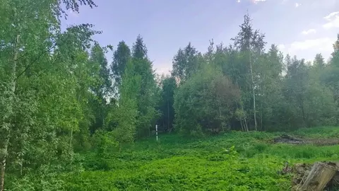 Участок в Московская область, Раменский муниципальный округ, д. Донино ...