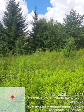 Участок в Московская область, Можайский муниципальный округ, д. ...