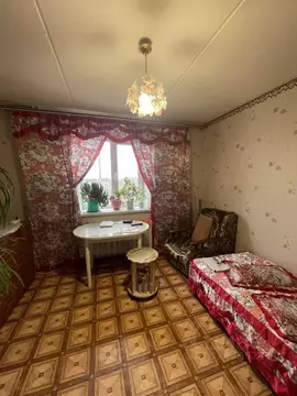 2-к кв. Тамбовская область, Рассказово Пролетарская ул., 76 (51.7 м)