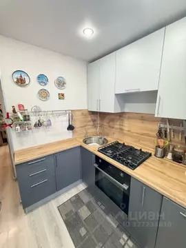 2-к кв. Московская область, Ногинск Богородский городской округ, ул. ...