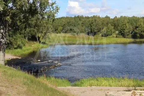 Участок в Ленинградская область, Приозерское городское поселение, пос. ...