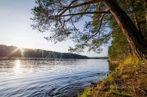 Участок в Свердловская область, Сысерть Волна мкр, 2 (30.0 сот.)