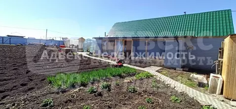 Участок в Тюменская область, Тюменский район, д. Елань, Московские ...