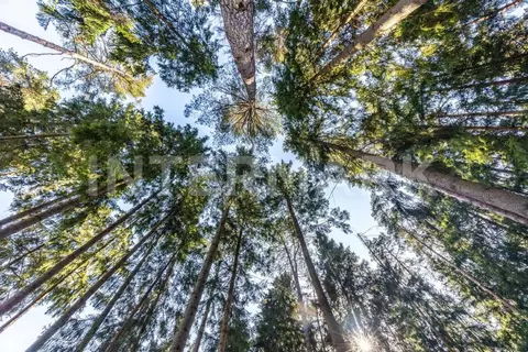 Участок в Московская область, Одинцовский городской округ, пос. ...