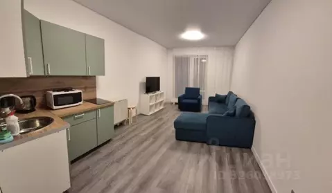 Студия Санкт-Петербург Дальневосточный просп., 23 (26.0 м)