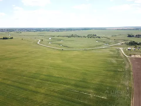 Участок в Владимирская область, Суздальский район, Селецкое ...