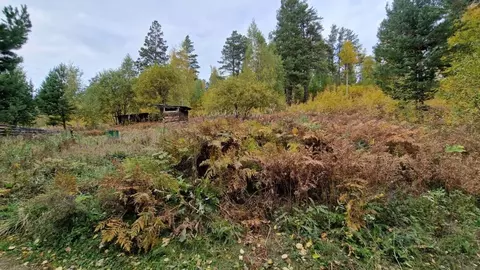 Участок в Иркутская область, Иркутский муниципальный округ, Пчелка СНТ ...