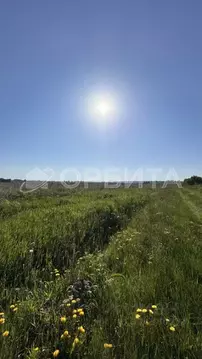 Участок в Тюменская область, Тюменский муниципальный округ, с. ...