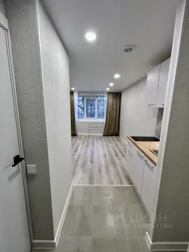 Студия Пермский край, Пермь ул. Мира, 30 (19.0 м)