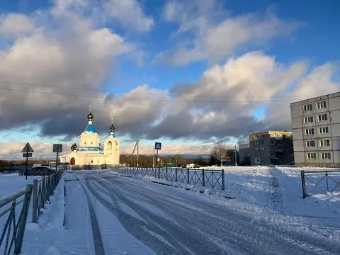 Участок в Ленинградская область, Ломоносовский район, Оржицкое с/пос, ...