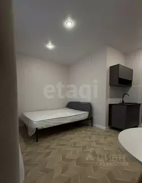 Студия Санкт-Петербург ул. Среднерогатская, 16к4 (22.2 м)