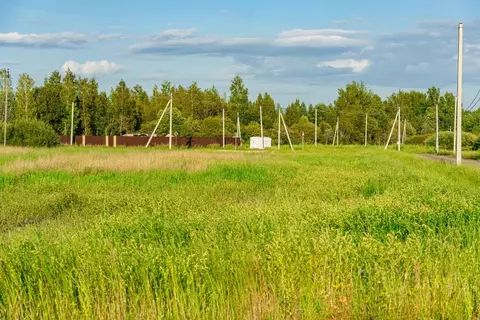 Участок в Санкт-Петербург пос. Левашово, Про Левашово кп,  (12.0 сот.)