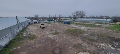 Производственное помещение в Краснодарский край, Крымский район, Южное ...