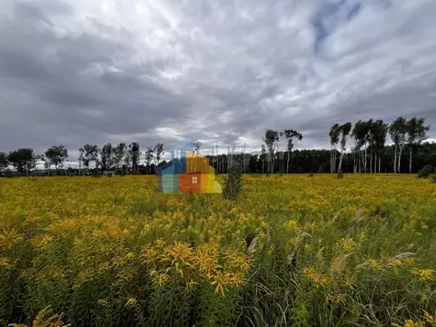 Участок в Тульская область, Тула городской округ, пос. Молодежный, ...