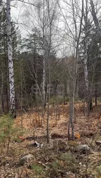 Участок в Иркутская область, Иркутский муниципальный округ, Маркова ...