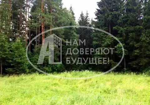 Участок в Пермский край, Чайковский городской округ, с. Сосново  (16.0 ...