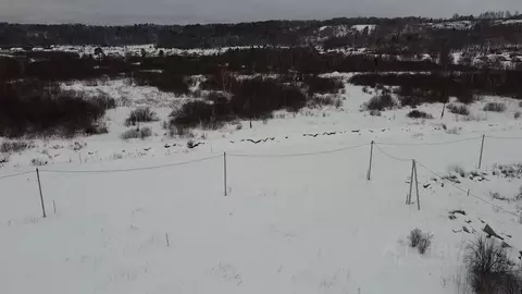 Участок в Томская область, Томский район, пос. Синий Утес Парковая ул. ...