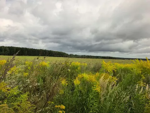 Продается участок в д. Здехово