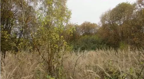 Участок в Московская область, Коломна городской округ, пос. Пески  ...