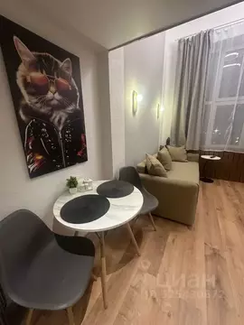 1-к кв. Санкт-Петербург Свердловская наб., 58 (31.0 м)