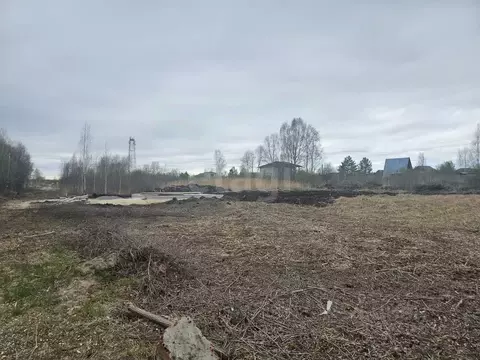 Участок в Тюменская область, Тюмень Ясень садовое товарищество, ул. ...