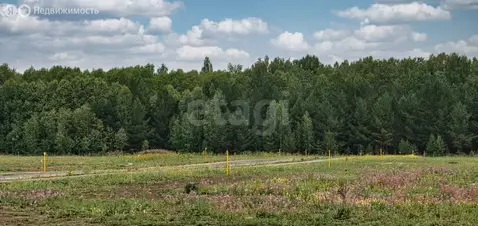 Участок в село Ленинское, территория ДНТ Новониколаевский Посёлок, ...