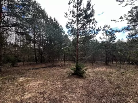 Участок в Калужская область, Перемышльский муниципальный округ, ...