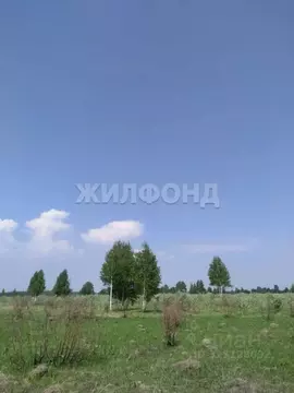 Участок в Новосибирская область, Новосибирский район, Кудряшовский ...