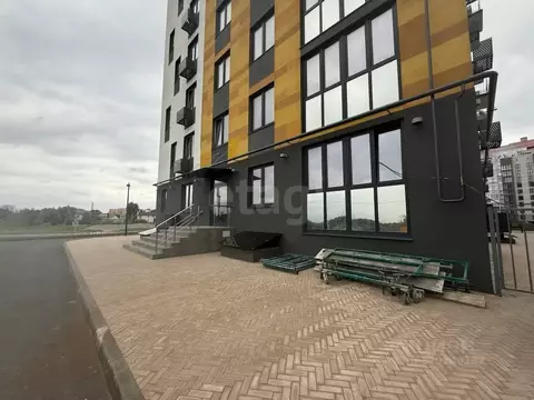 Помещение свободного назначения в Брянская область, Брянск ул. Ильи ...