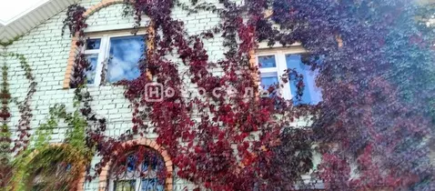 Коттедж в Рязанская область, Рязань ул. Элеваторный заулок, 12 (226 м)