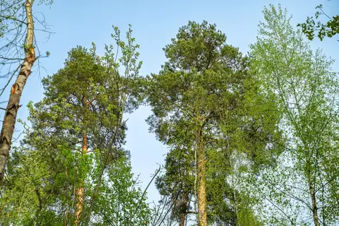 Участок в Московская область, Одинцовский городской округ, пос. ...