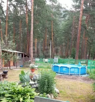 Участок в Алтай, Чемальский район, Элекмонарское с/пос, с. Элекмонар ...