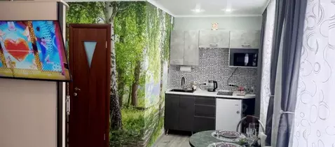 Студия Башкортостан, Стерлитамак Лесная ул., 24А (23.0 м)