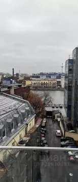 4-к кв. Санкт-Петербург ул. Чапаева, 17к2 (146.0 м)