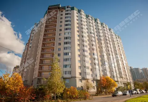 Комната Санкт-Петербург Богатырский просп., 52к1 (19.0 м)