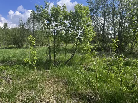 Участок в Московская область, Клин городской округ, д. Елгозино  ...