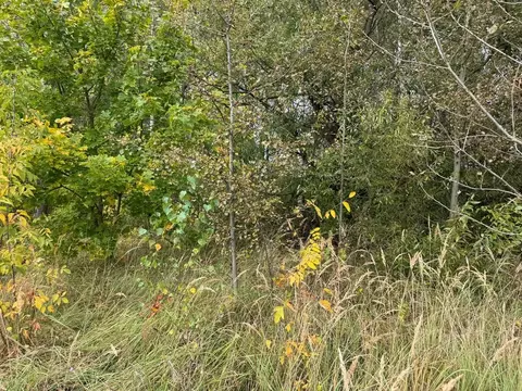 Участок в Московская область, Богородский городской округ, д. Новое ...