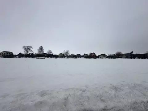 Участок в Московская область, Луховицы муниципальный округ, с. ...