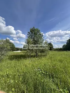 Участок в Ленинградская область, Ломоносовский район, Ропшинское ...