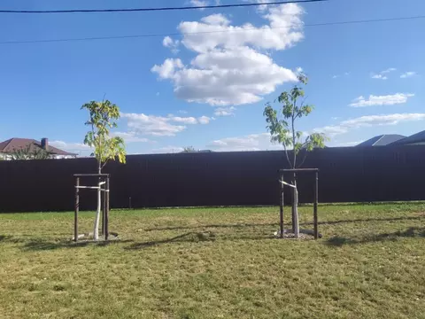 Участок в Белгородская область, Белгородский район, Новосадовское ...