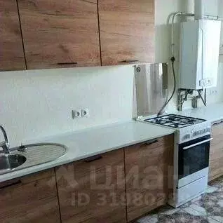 1-к кв. Нижегородская область, Арзамас городской округ, д. Березовка, ...