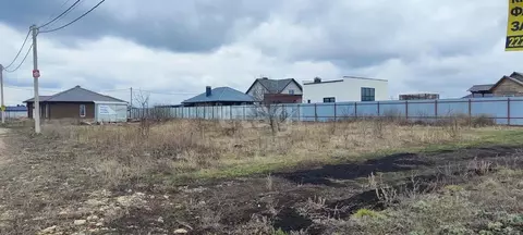 Участок в Воронежская область, Рамонский район, Новоживотинновское ...