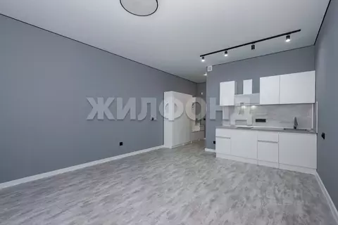 1-к кв. Новосибирская область, Новосибирск ул. Фадеева, 66/4 (31.0 м)